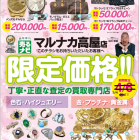 4月チラシご案内♪